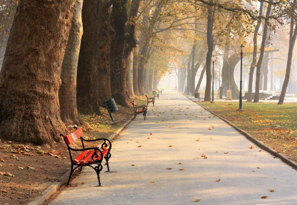 Appartamento Bohemian Quarter / City Park, Free Parking Skopje Esterno foto